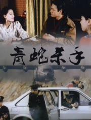 青蛇杀手,揭秘神秘杀手背后的传奇故事