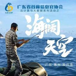 海阔天空之肝胆相照,海阔天空下的深情厚谊