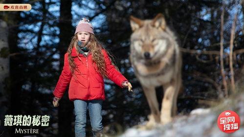 详细阅读:薇琪的秘密,探寻她背后的神秘故事 薇琪的秘密,探寻她背后的神秘故事