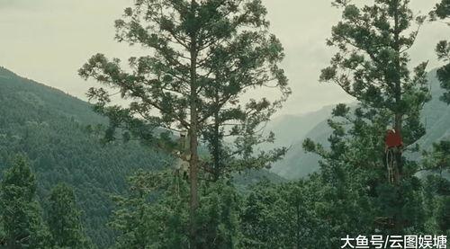 哪啊哪啊神去村,揭秘“哪啊哪啊神去村”的奇幻之旅