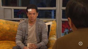 廉政行动2024 国语版,揭秘反腐风暴,捍卫正义之光