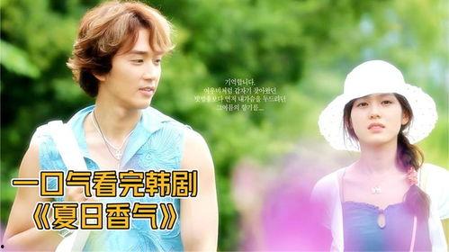夏日香气,探寻浪漫与温馨的夏日时光