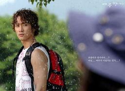 夏日香气,探寻浪漫与温馨的夏日时光