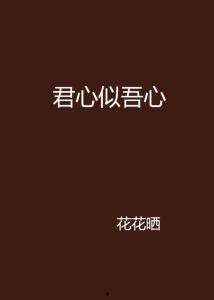 君心若能似我心,探寻心灵相通的奥秘